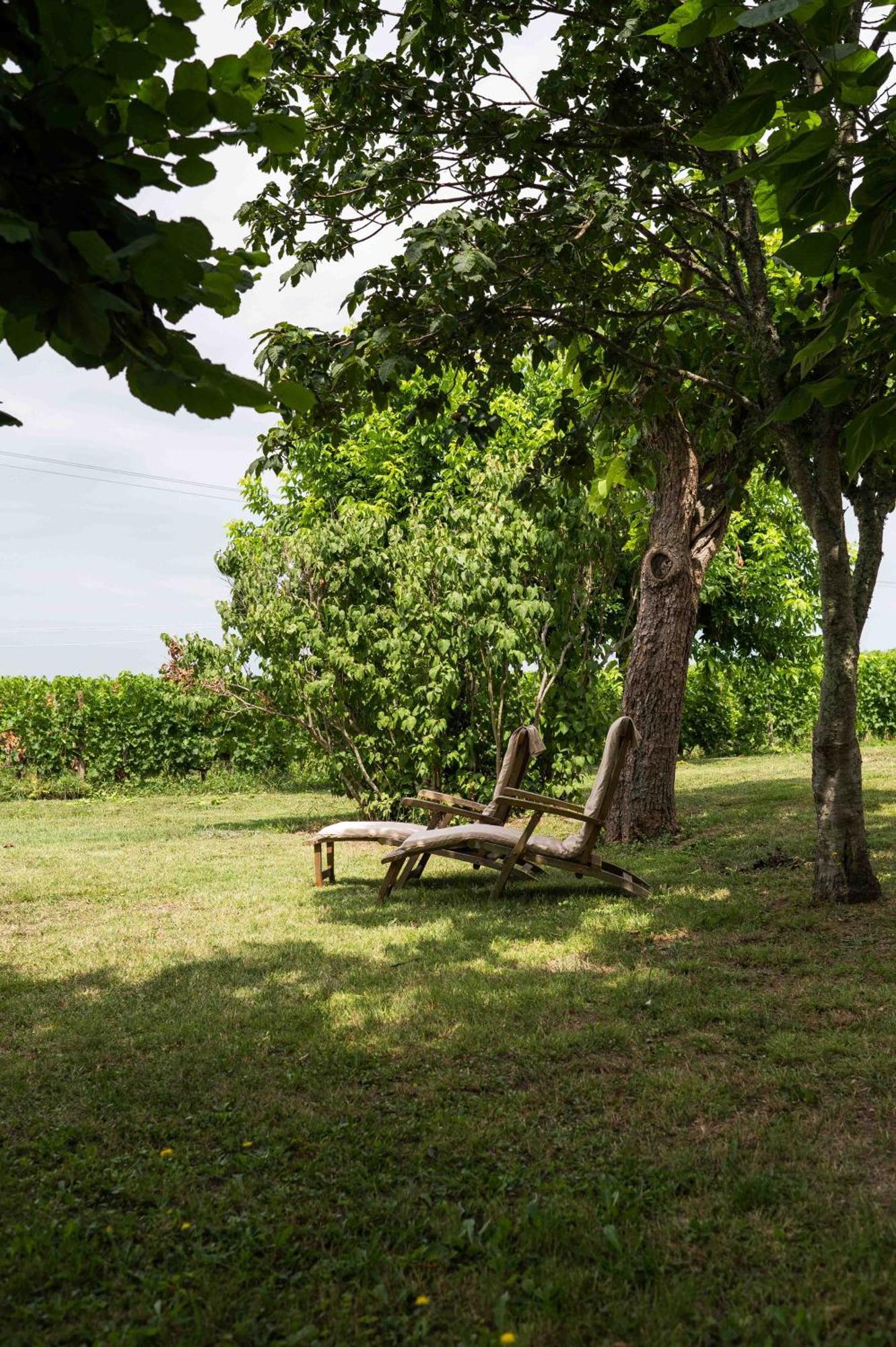 Clos De La Barbanne Монтан Екстериор снимка